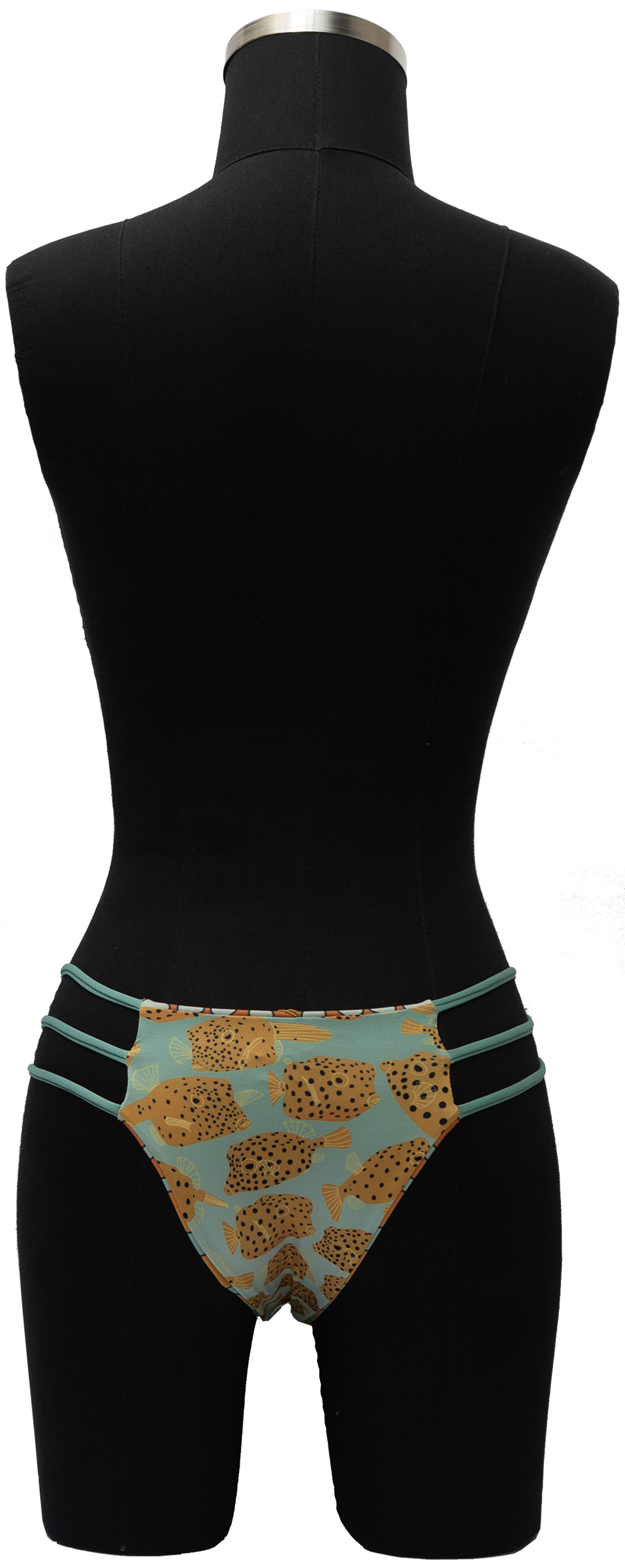 GOTA ORNATE COWFISH/YELLOW BOX FISH REVERSIBLE BOTTOM