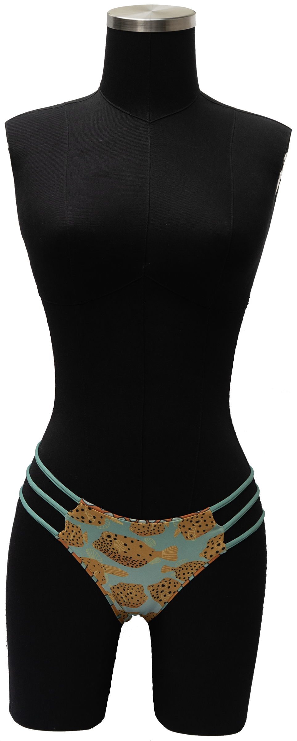 GOTA ORNATE COWFISH/YELLOW BOX FISH REVERSIBLE BOTTOM