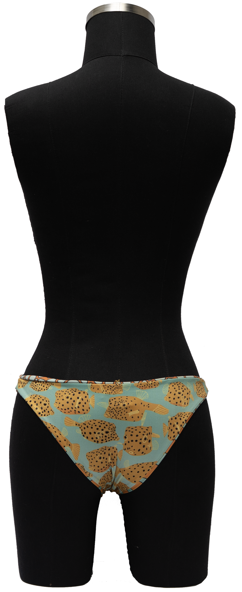 HUMEDAL ORNATE COWFISH/YELLOW BOX FISH REVERSIBLE BOTTOM