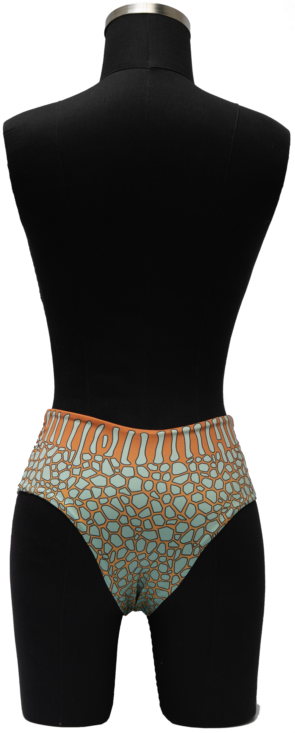 MANANTIAL ORNATE COWFISH/YELLOW BOX FISH REVERSIBLE BOTTOM