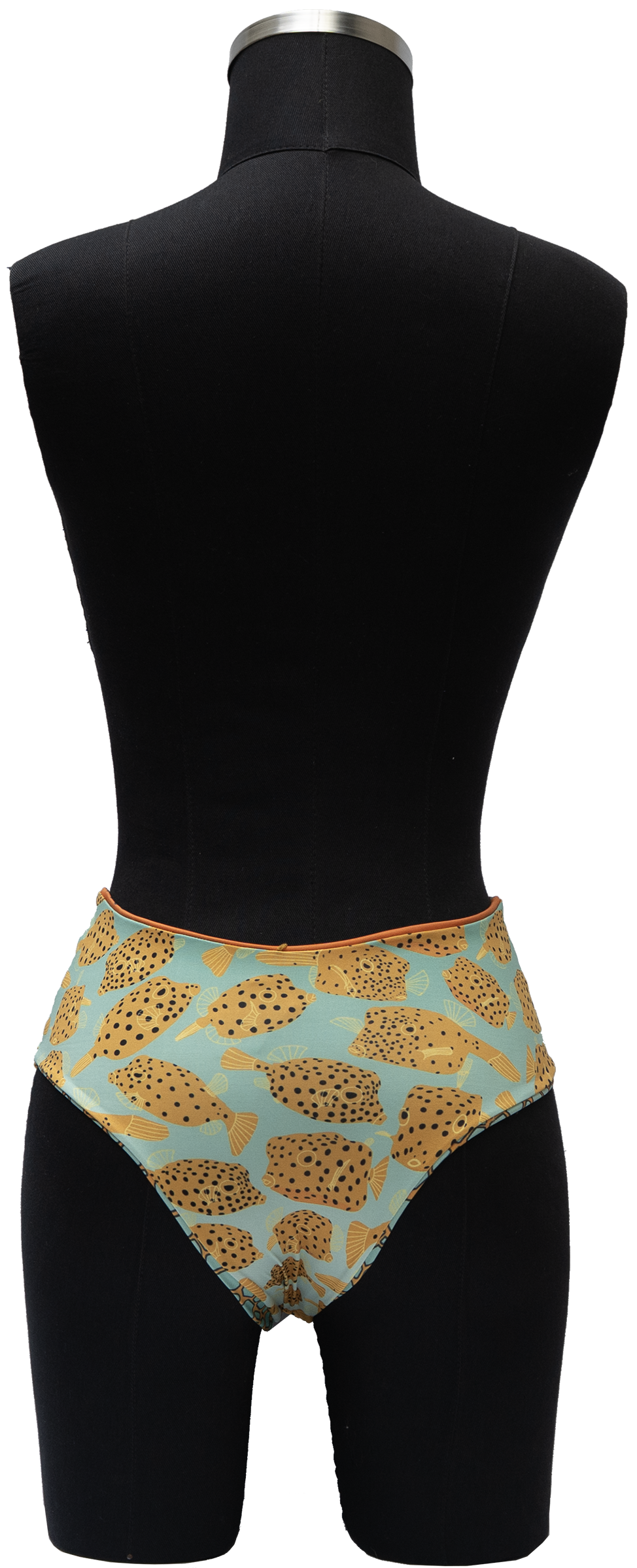 MANANTIAL ORNATE COWFISH/YELLOW BOX FISH REVERSIBLE BOTTOM