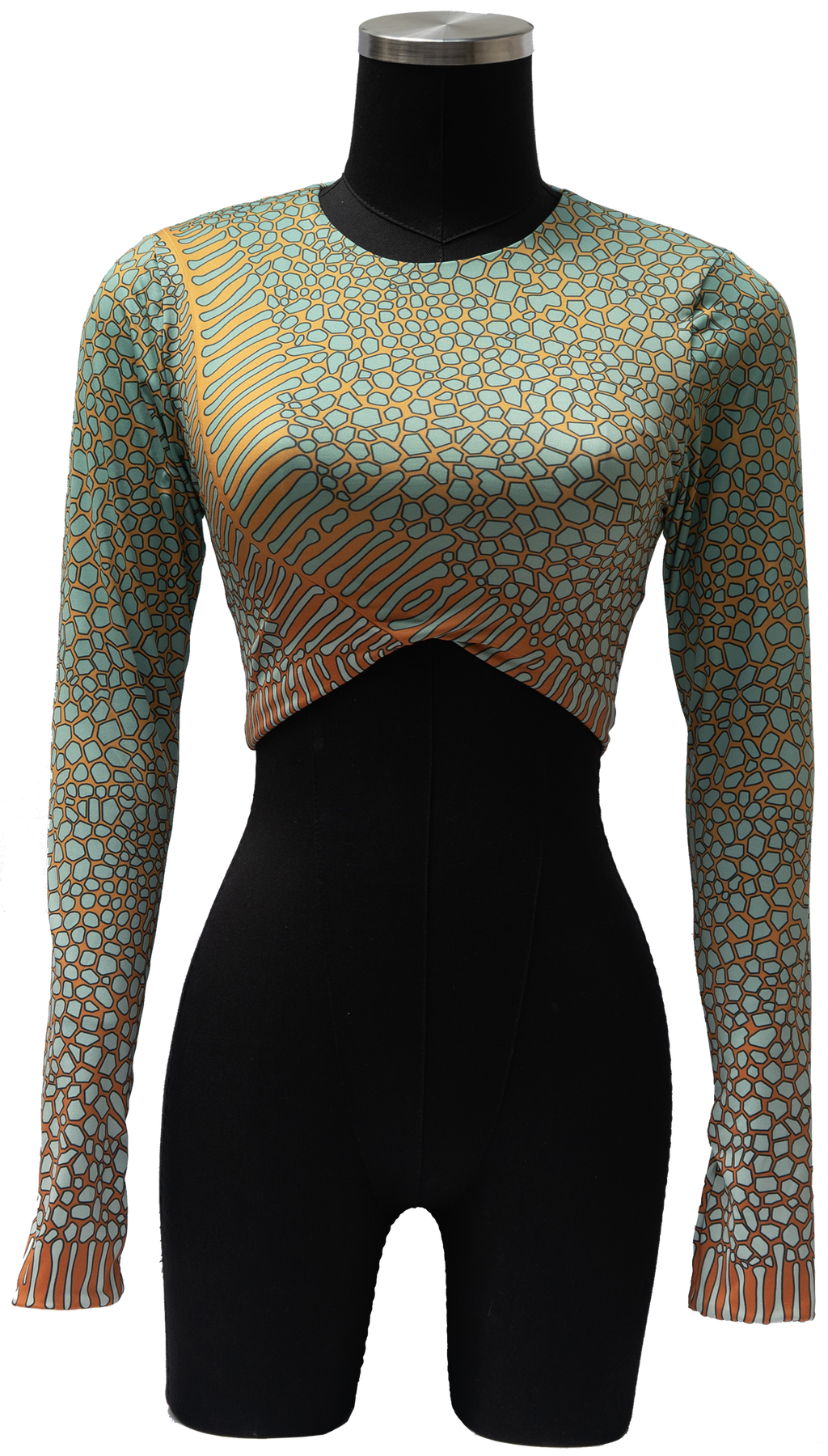 ACUIFERO ORNATE COWFISH/YELLOW BOX FISH REVERSIBLE TOP