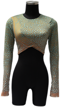 ACUIFERO ORNATE COWFISH/YELLOW BOX FISH REVERSIBLE TOP