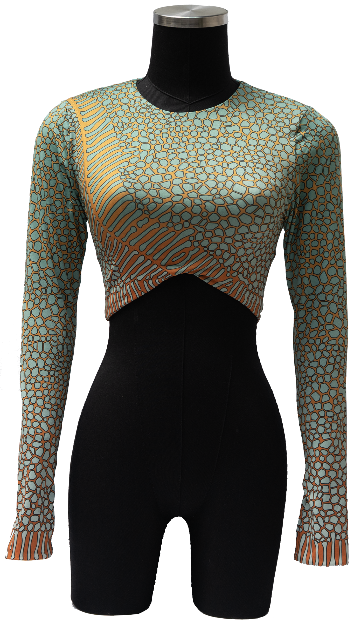 ACUIFERO ORNATE COWFISH/YELLOW BOX FISH REVERSIBLE TOP