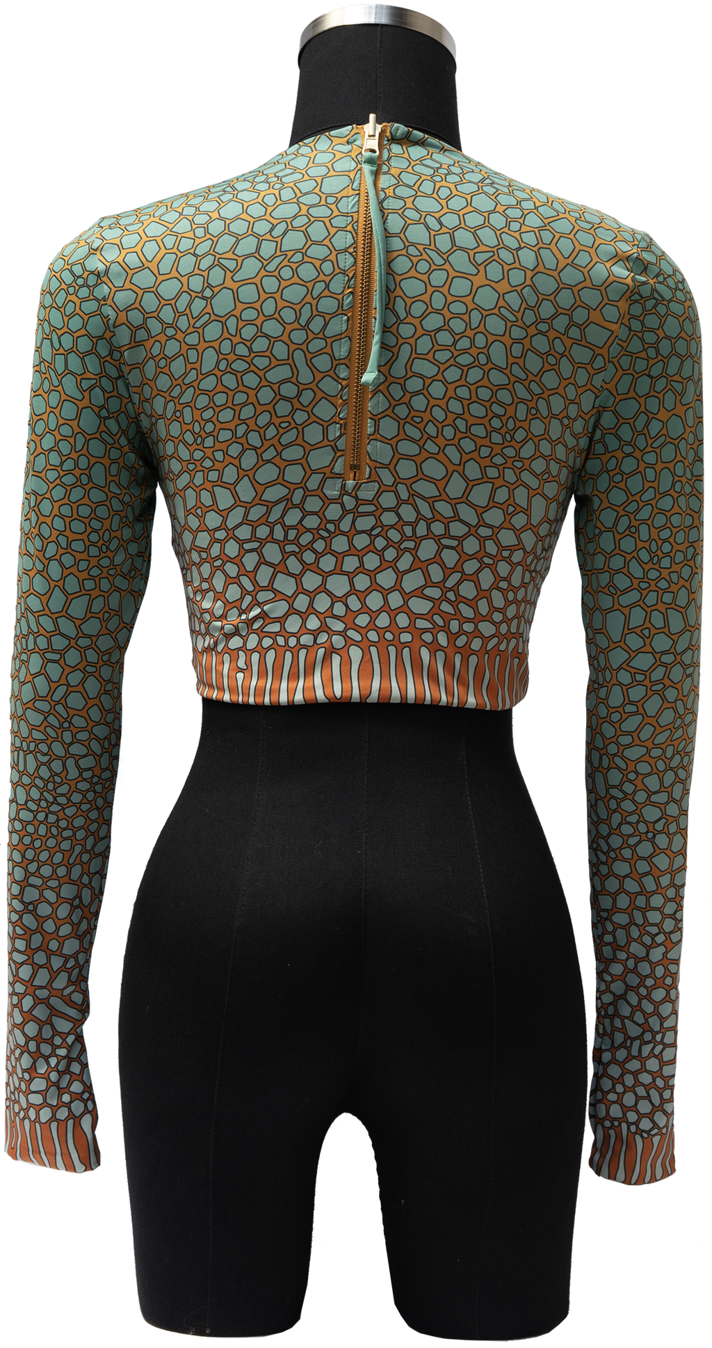 ACUIFERO ORNATE COWFISH/YELLOW BOX FISH REVERSIBLE TOP