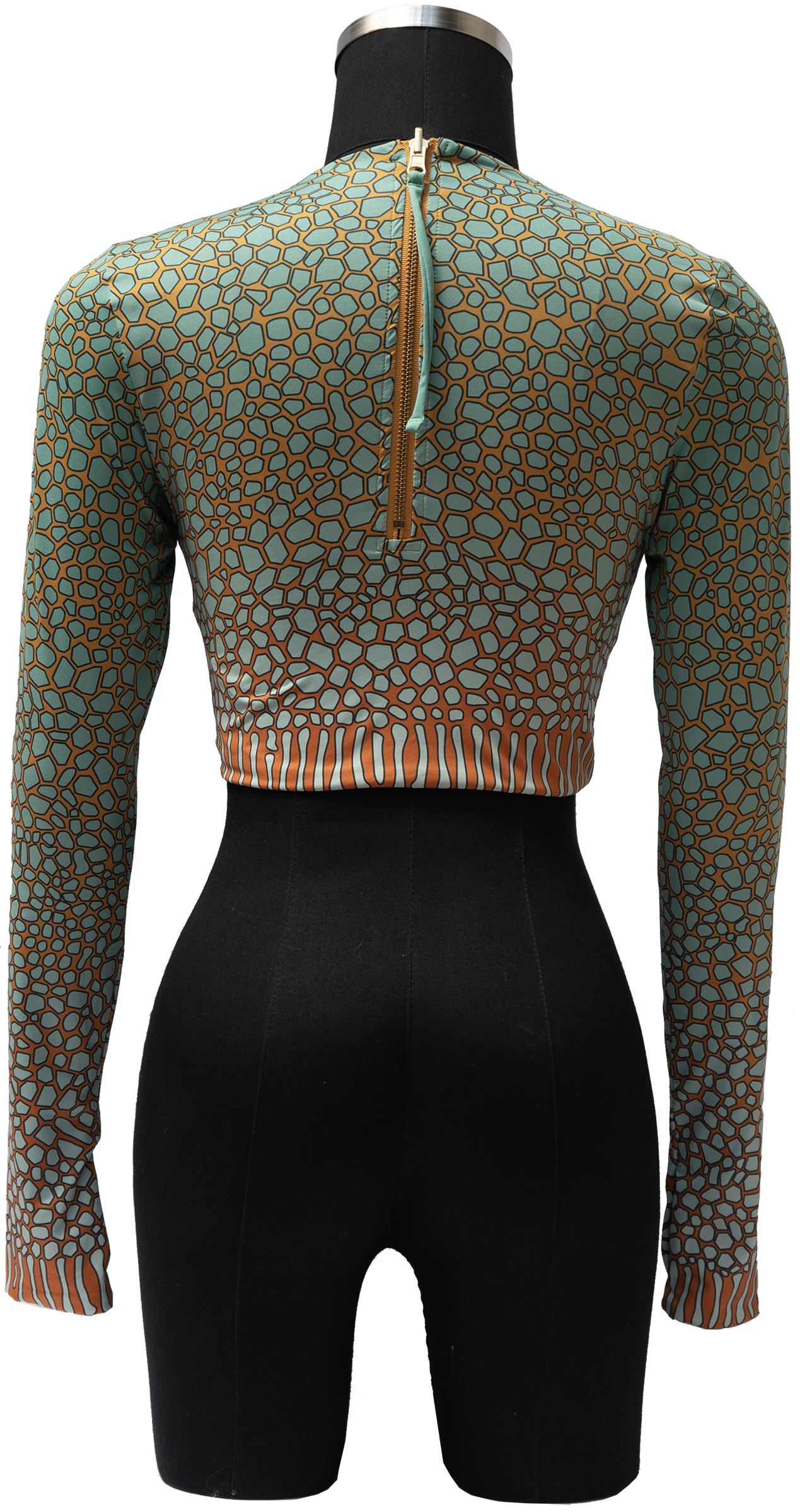 ACUIFERO ORNATE COWFISH/YELLOW BOX FISH REVERSIBLE TOP