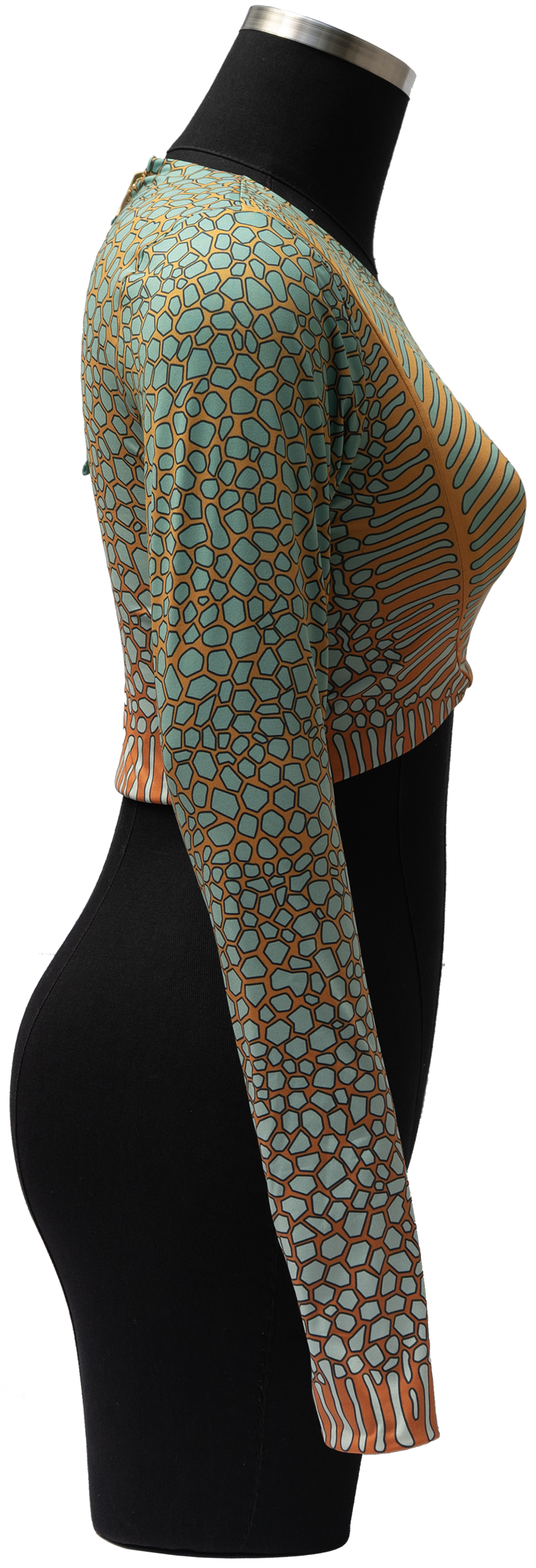 ACUIFERO ORNATE COWFISH/YELLOW BOX FISH REVERSIBLE TOP