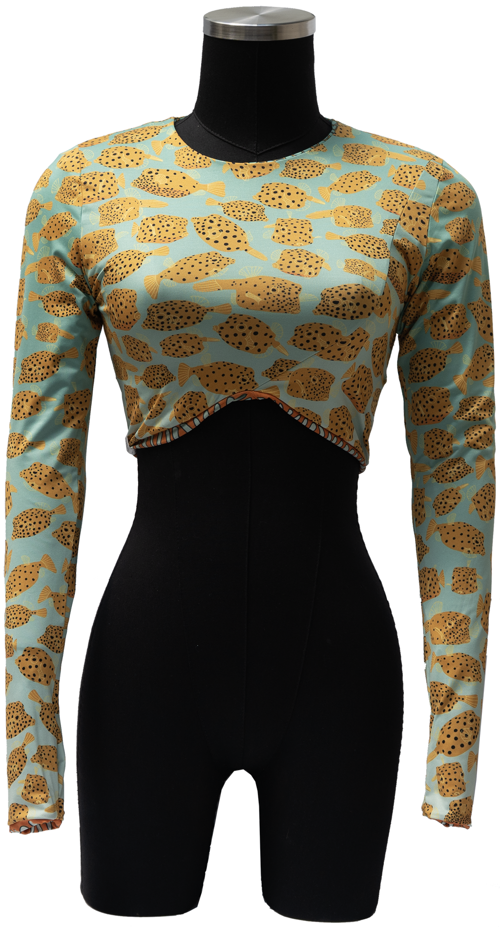 ACUIFERO ORNATE COWFISH/YELLOW BOX FISH REVERSIBLE TOP