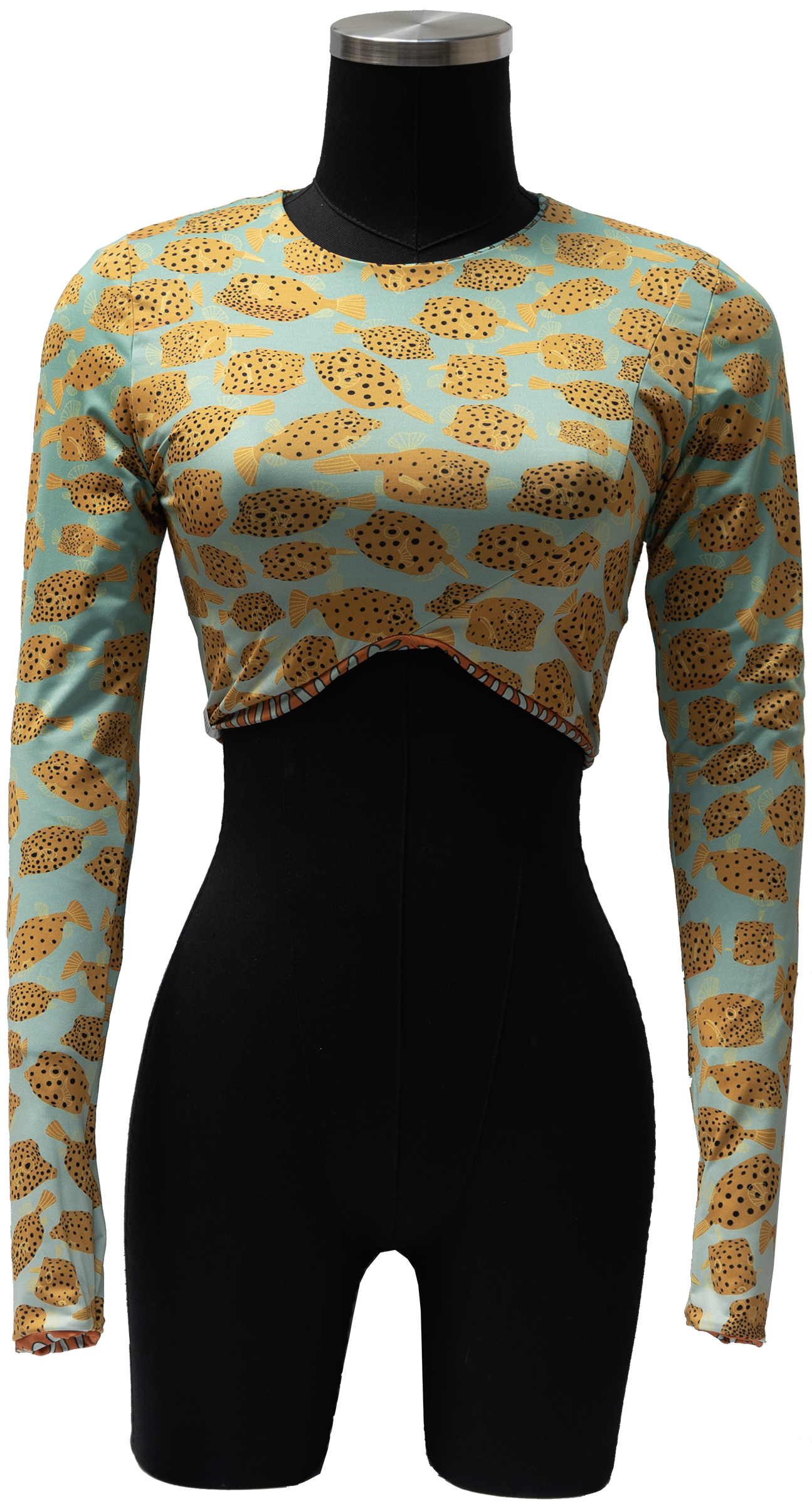 ACUIFERO ORNATE COWFISH/YELLOW BOX FISH REVERSIBLE TOP