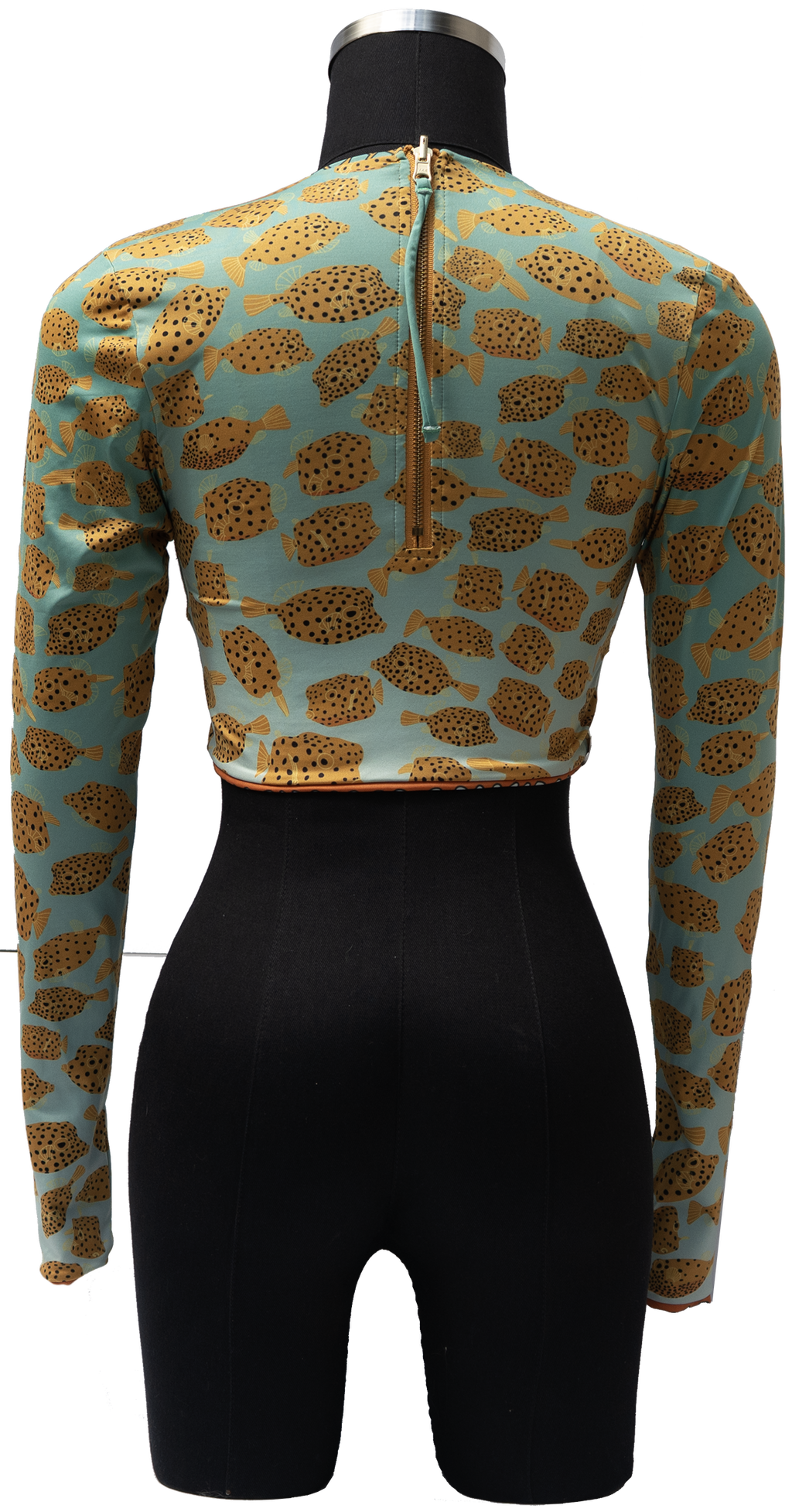 ACUIFERO ORNATE COWFISH/YELLOW BOX FISH REVERSIBLE TOP