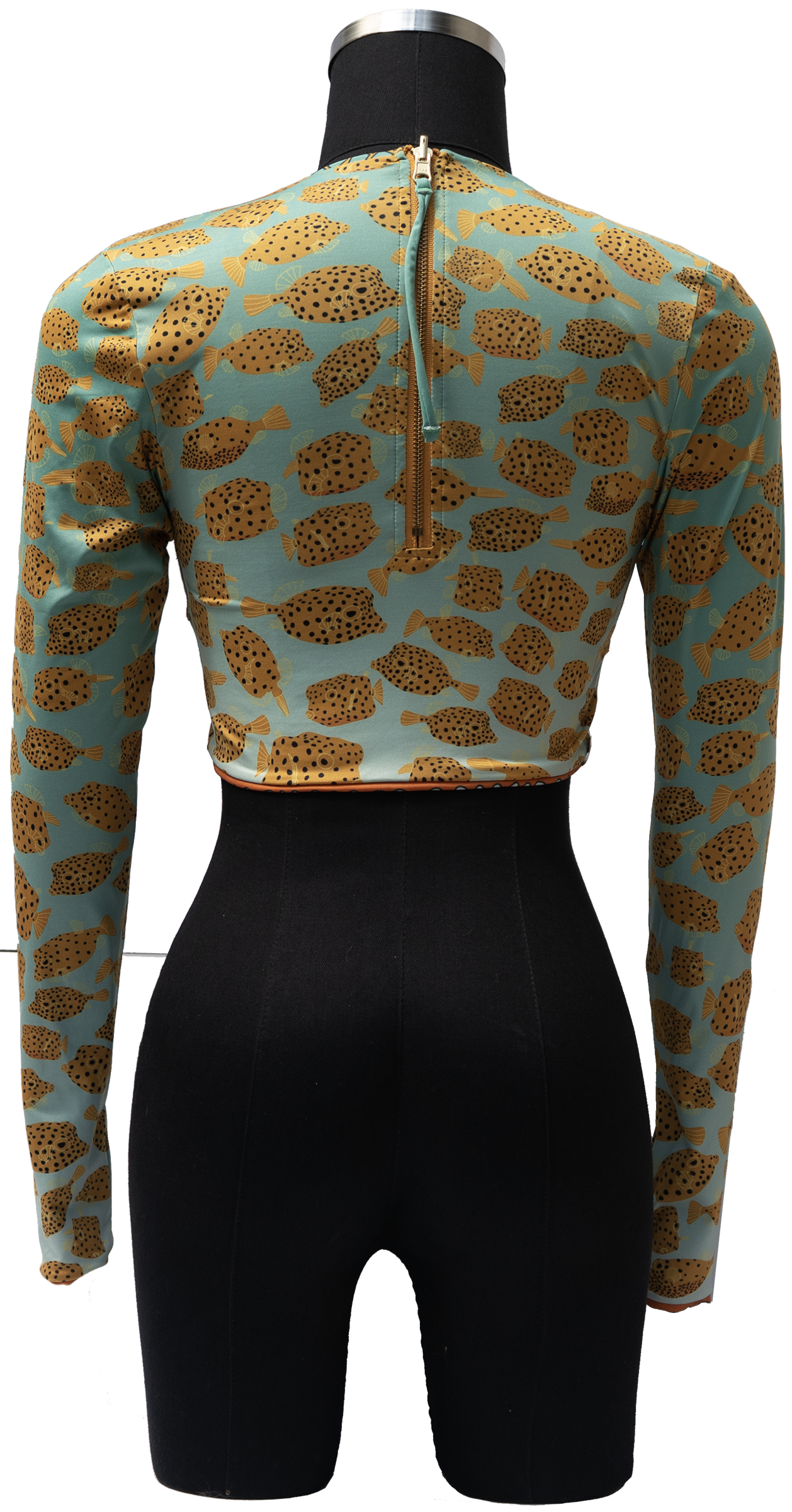 ACUIFERO ORNATE COWFISH/YELLOW BOX FISH REVERSIBLE TOP