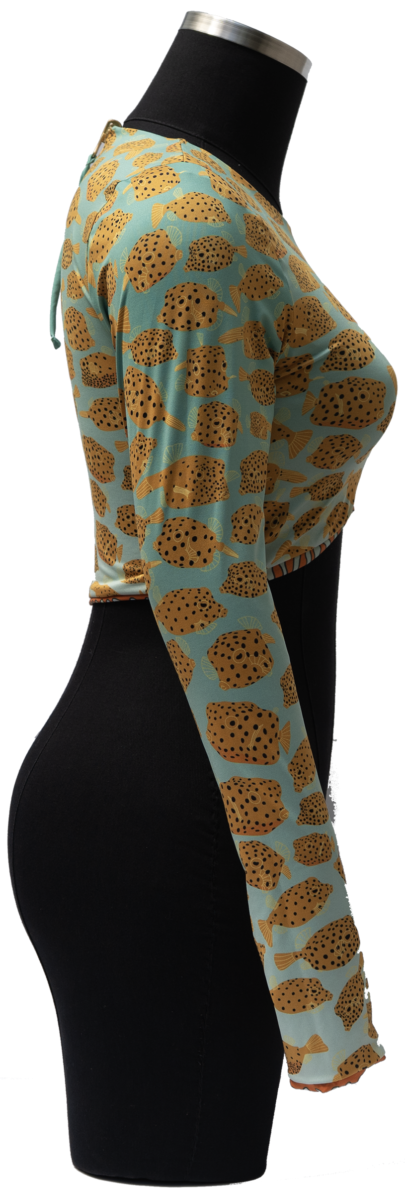 ACUIFERO ORNATE COWFISH/YELLOW BOX FISH REVERSIBLE TOP