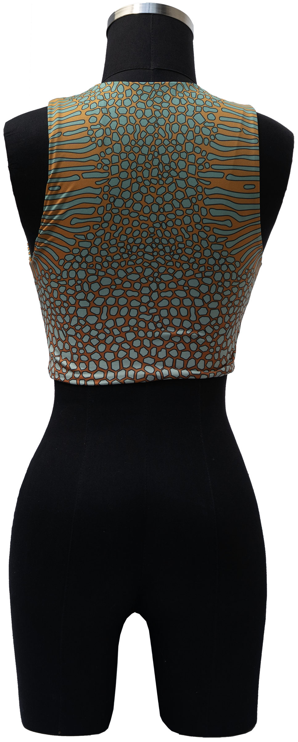 ARROYO ORNATE COWFISH/YELLOW BOX FISH REVERSIBLE TOP